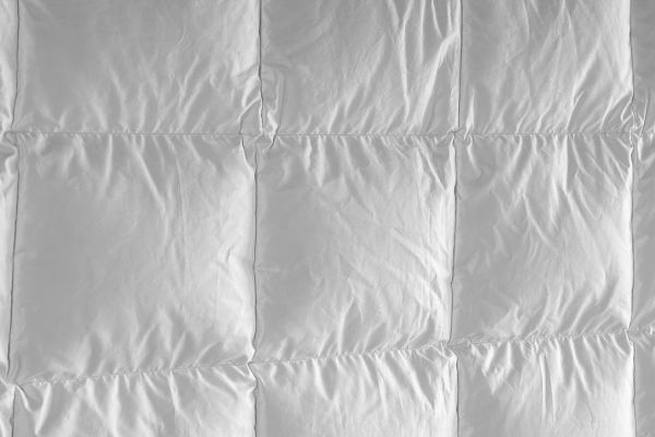 strutture2F6BD9C5B-793C-0CC6-2775-A41F414929E5.jpg